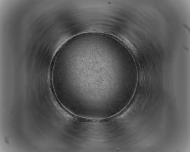 X0000091570896200708271155
