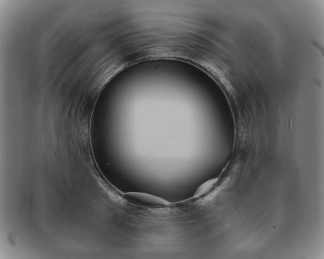 X0000091570897200708271155