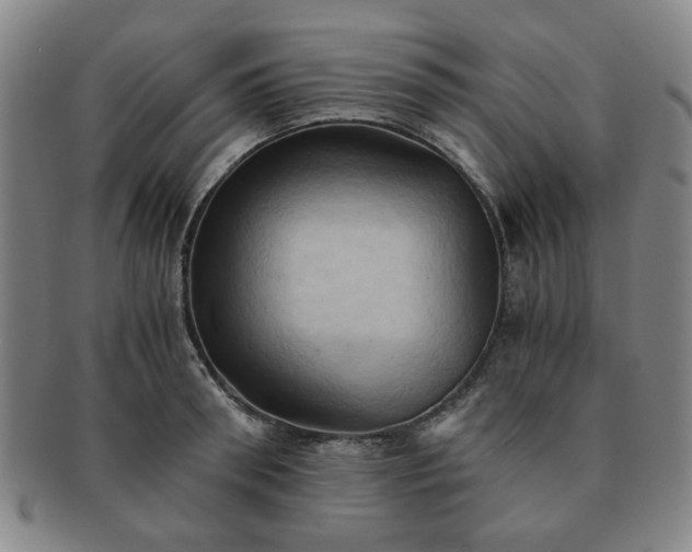 X0000091570898200708271155