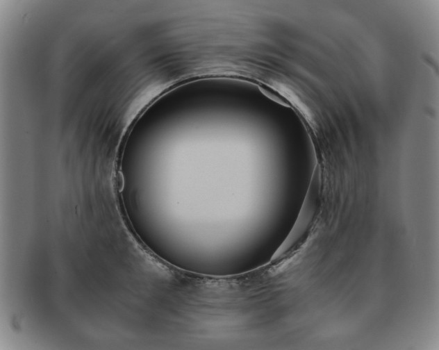 X0000091570901200708271155