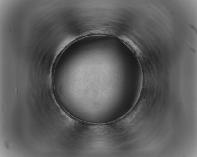 X0000091570902200708271155