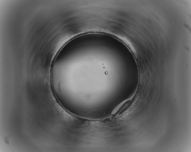 X0000091570903200708271155