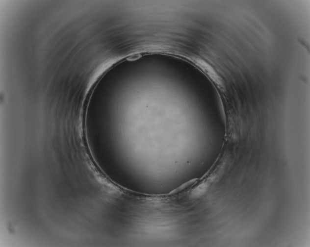 X0000091570904200708271155