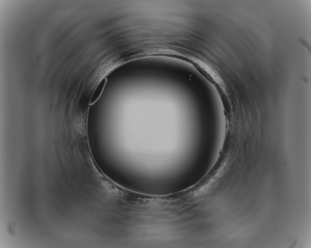 X0000091570905200708271155