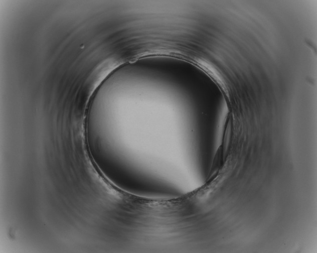X0000091570906200708271155