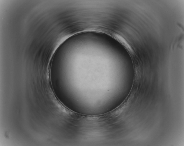 X0000091570908200708271155