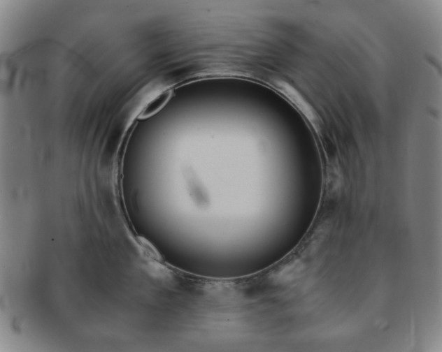 X0000091570909200708271155
