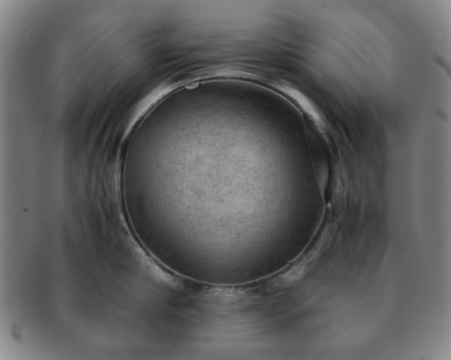 X0000091570910200708271155