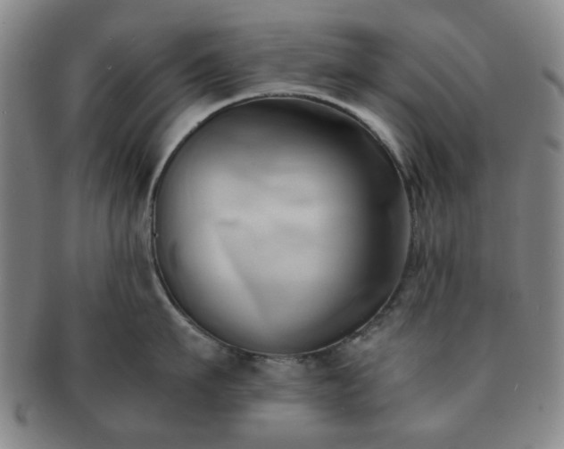 X0000091570911200708271155