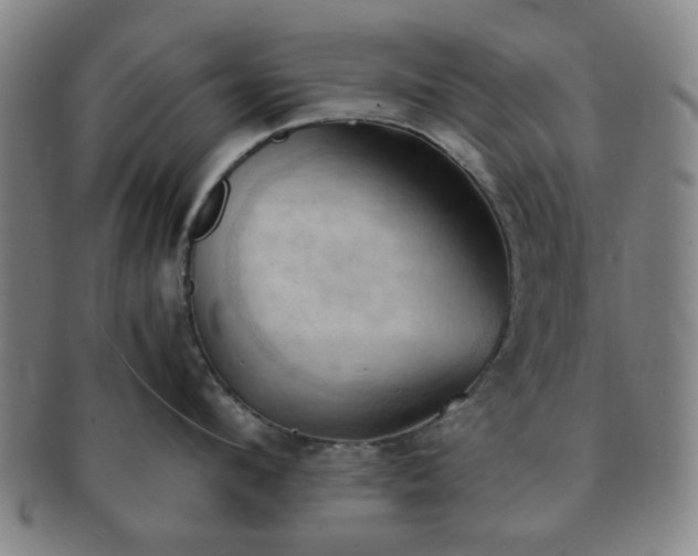 X0000091570912200708271155