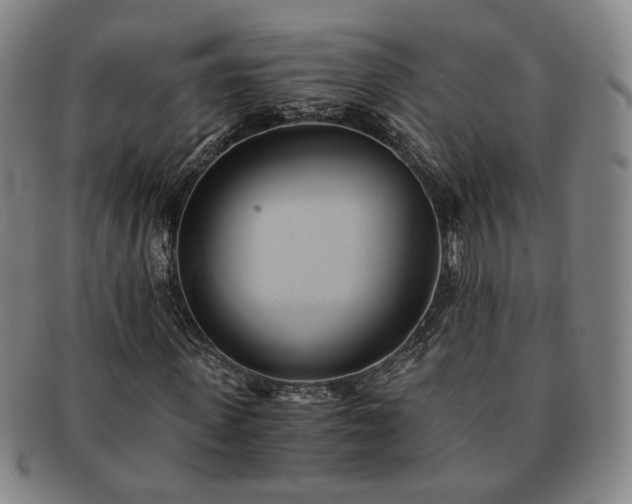 X0000091570915200708271154