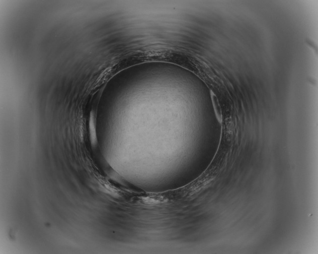 X0000091570916200708271154