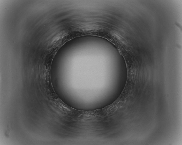 X0000091570917200708271154