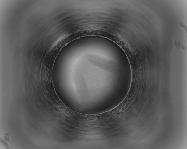 X0000091570919200708271154