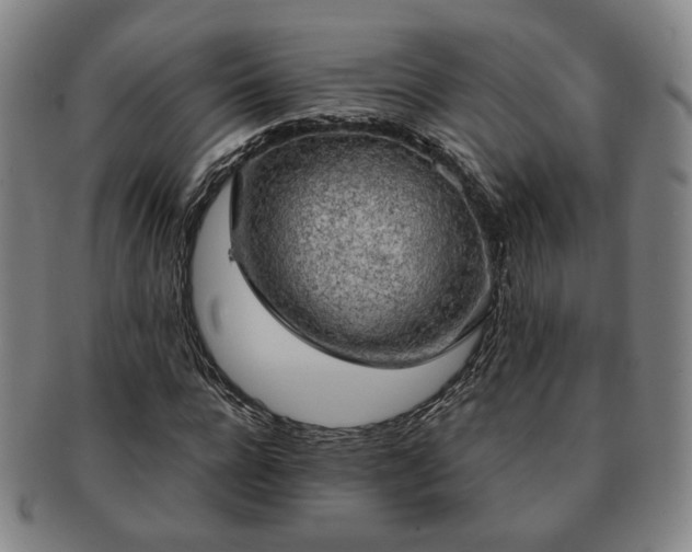 X0000091570920200708271154
