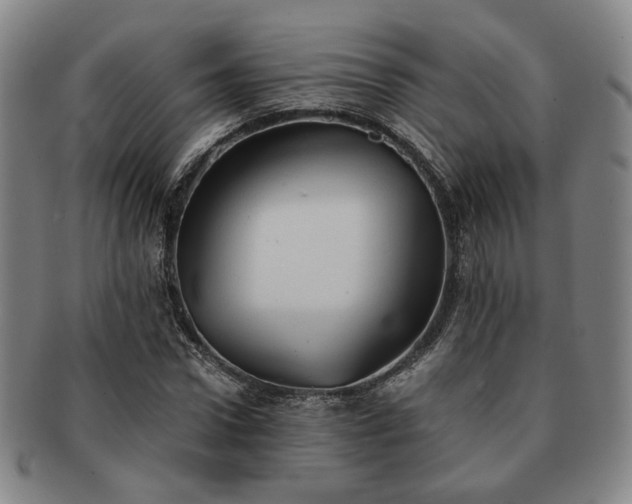 X0000091570922200708271154