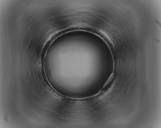 X0000091570923200708271154