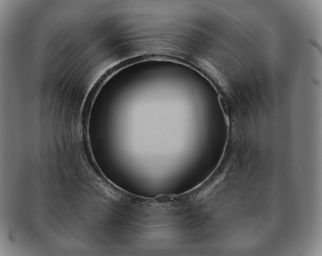 X0000091570924200708271154
