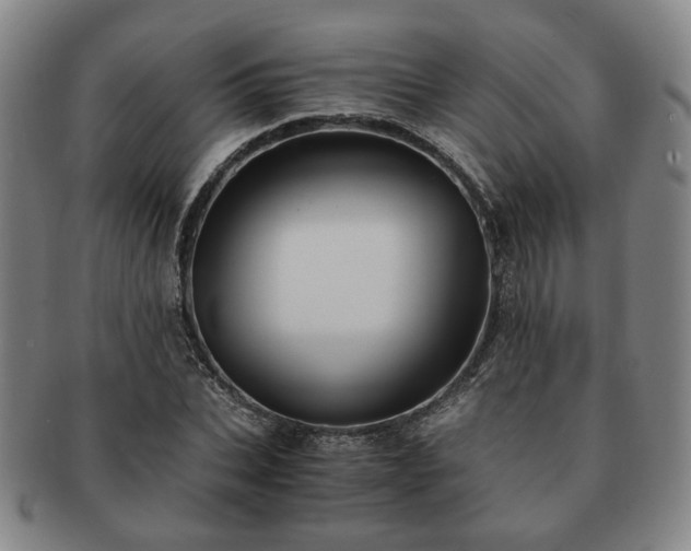 X0000091570927200708271154