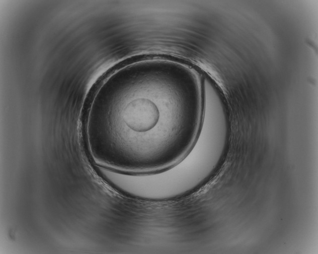 X0000091570928200708271154