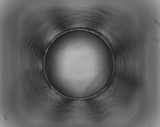X0000091570929200708271154