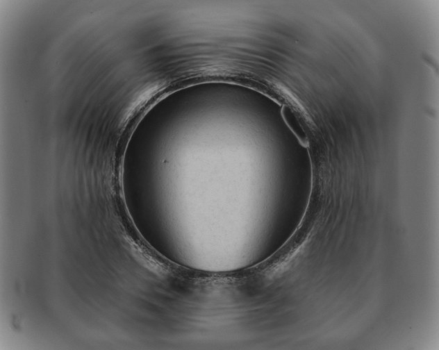 X0000091570930200708271154