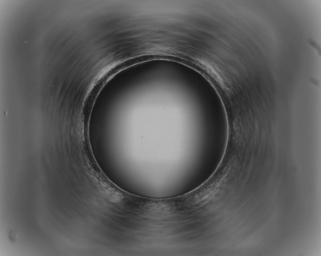 X0000091570931200708271154
