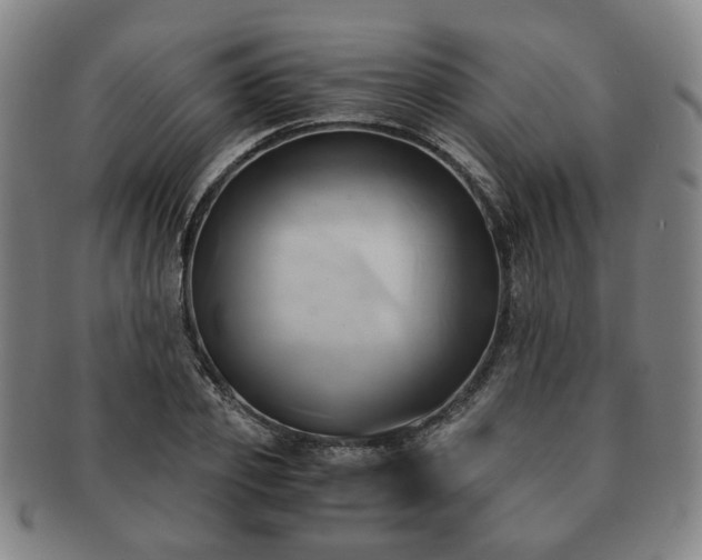 X0000091570933200708271154