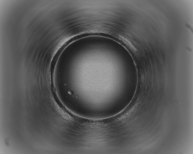 X0000091570934200708271155