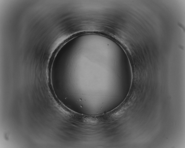 X0000091570935200708271155