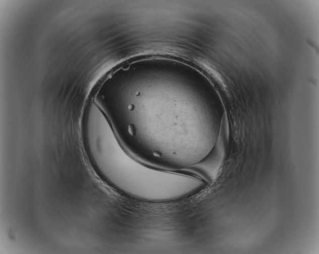 X0000091570936200708271155