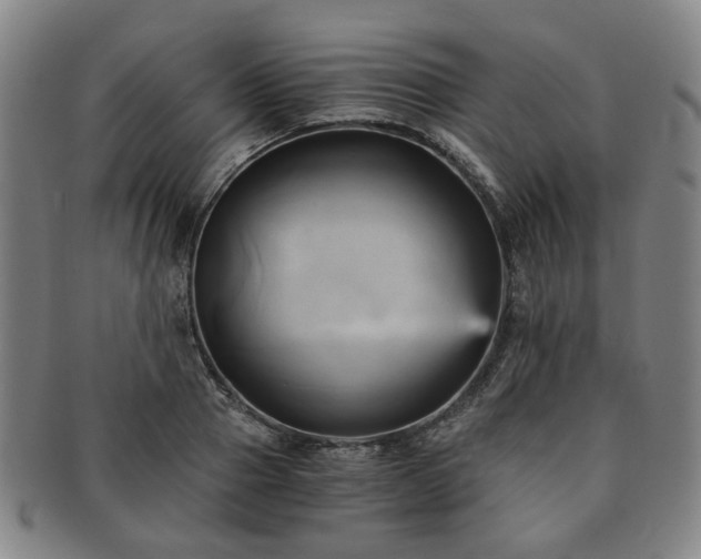 X0000091570937200708271155