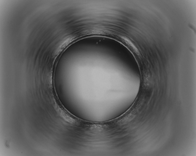 X0000091570938200708271155