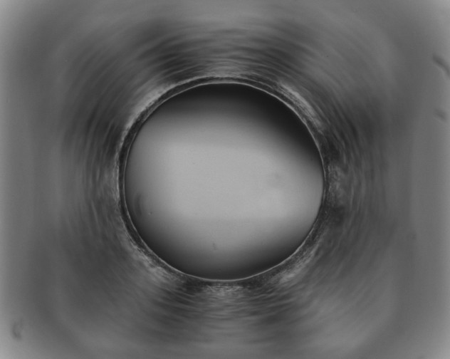 X0000091570939200708271155