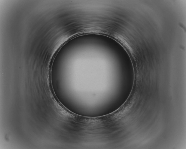 X0000091570941200708271155