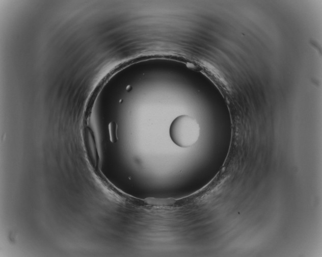X0000091570942200708271155