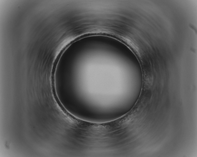 X0000091570943200708271155