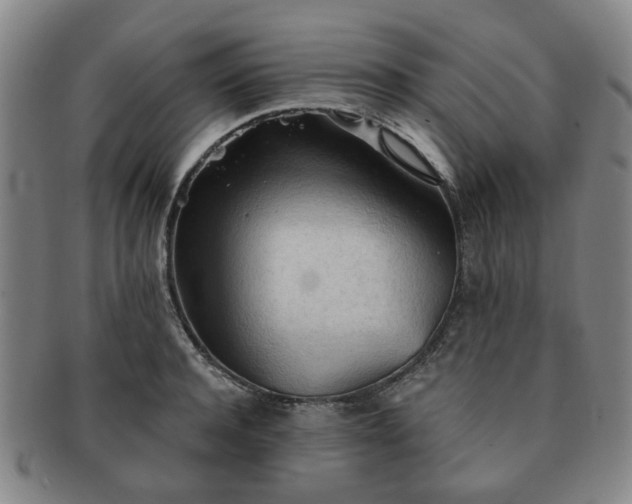X0000091570944200708271155