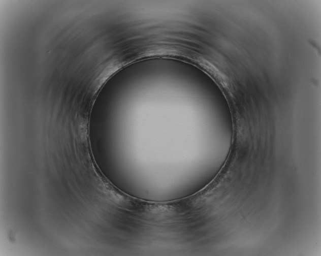 X0000091570945200708271155