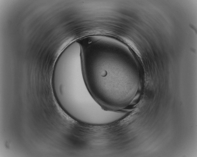 X0000091570946200708271155