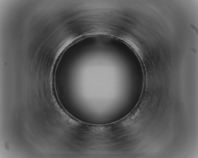 X0000091570949200708271155