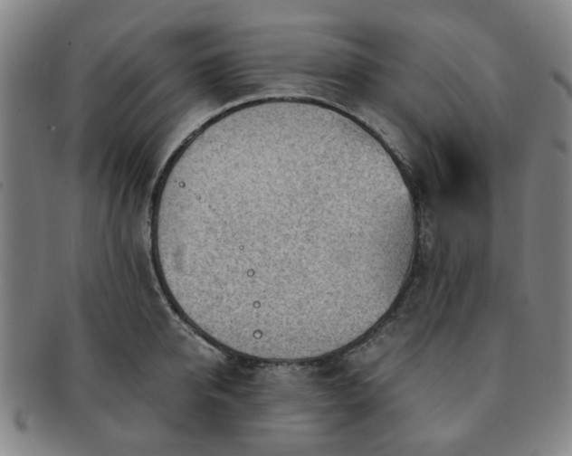 X0000091570950200708271155