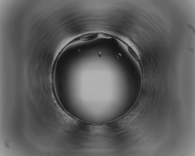 X0000091570951200708271155
