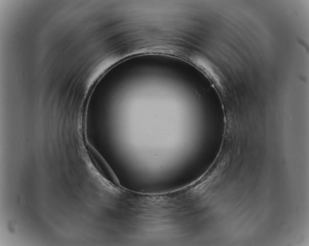 X0000091570952200708271155