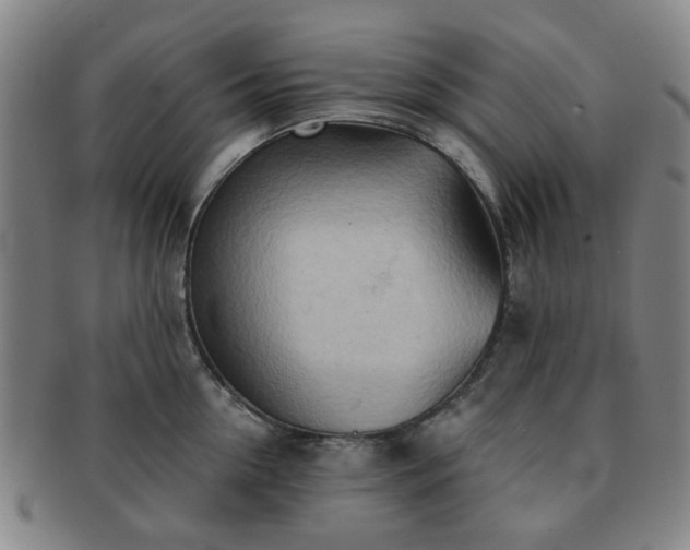 X0000091570954200708271155