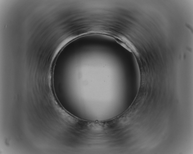 X0000091570955200708271155