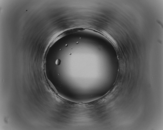 X0000091570956200708271155