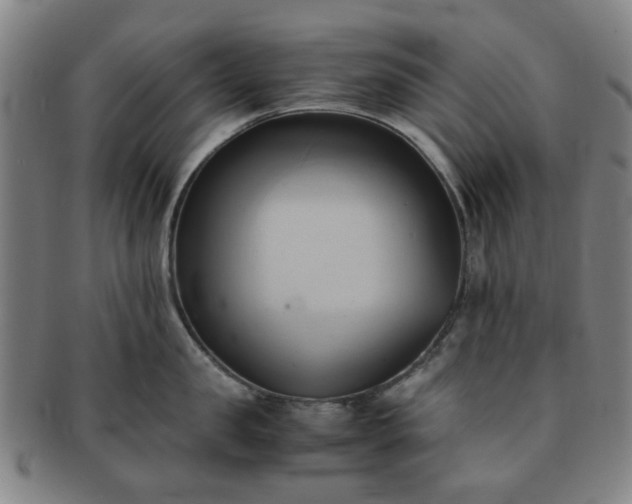X0000091570957200708271155