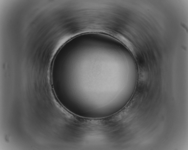 X0000091570958200708271155