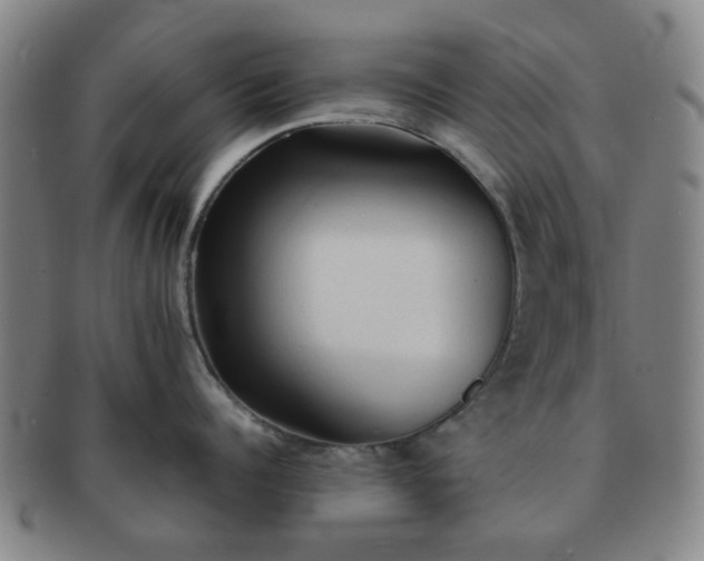 X0000091570960200708271155